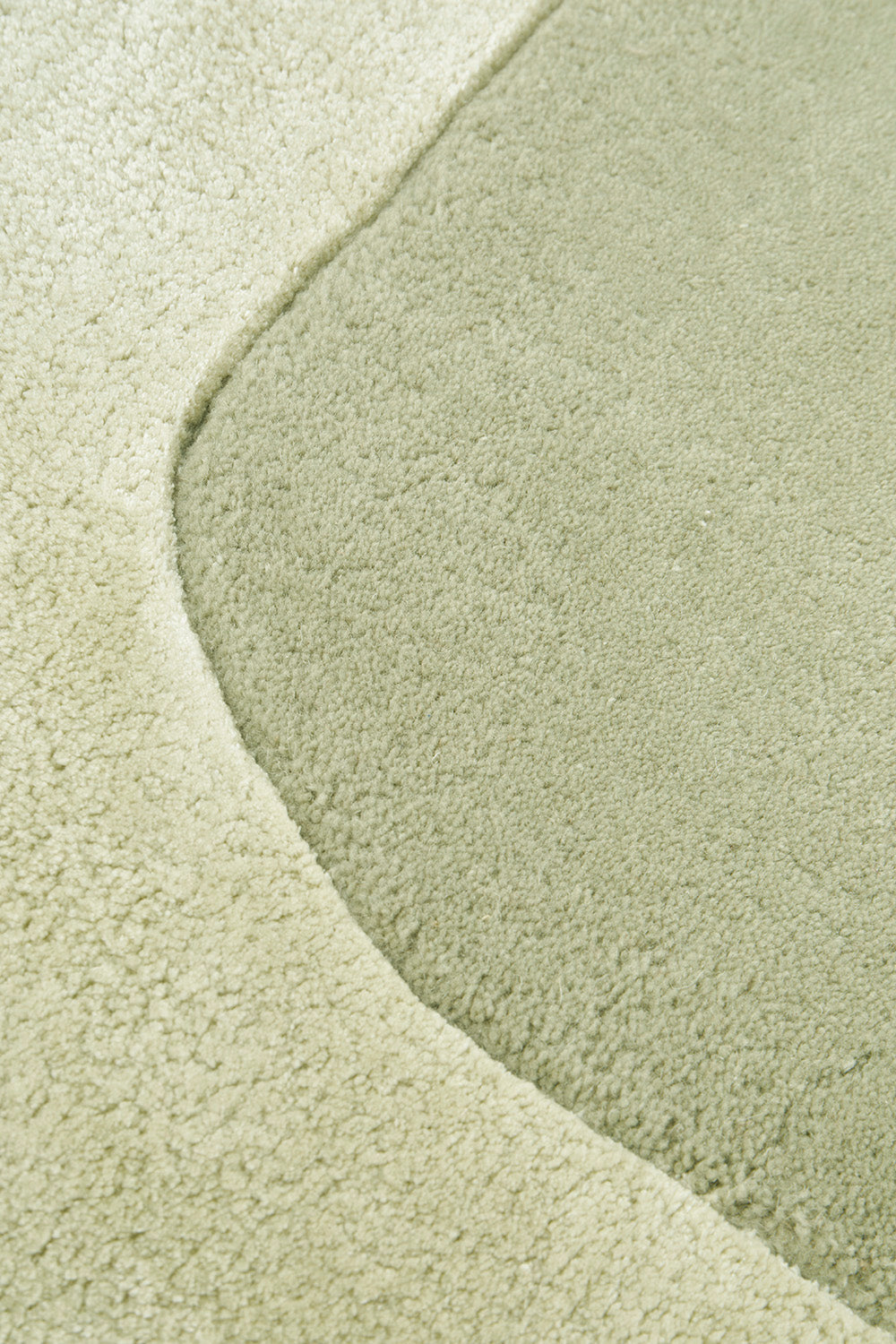 Jewel Curve Sage Rug