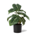 Anthurium Faux Potted Plant