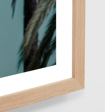 Riviera Curved Canopy print