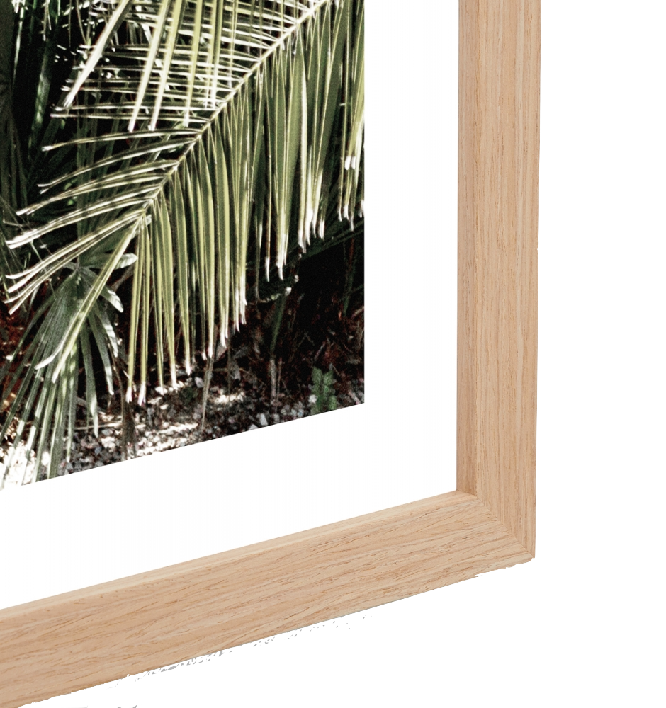 Puerta Framed Print