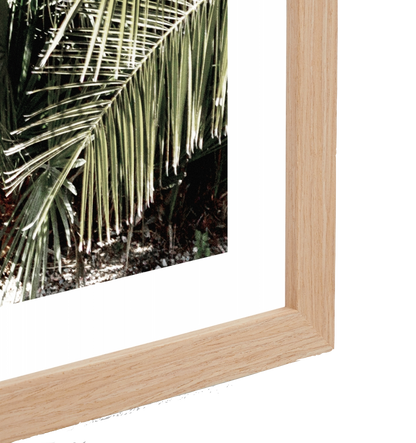 Puerta Framed Print