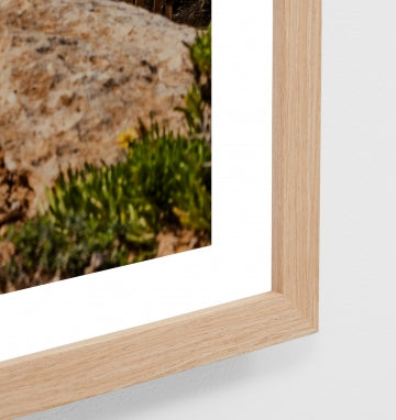 Riviera Cliff Loungers