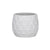 Calithea Pot