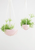Macrame Hanging Planter Pink