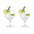 Gin & Tonic Glasses Set of 2